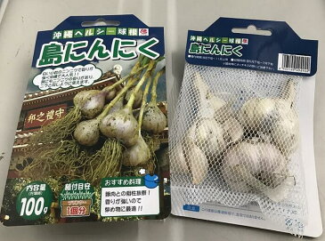 【 種球根 国産 島にんにく 100g】 種ニンニク 大蒜 にんにく 野菜 やさい ガーリック garlic