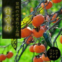 柿 苗 富有柿 ( ふゆうがき ) 果樹 苗木 接木苗 12cmロングポット 送料無料 家庭栽培 カキ かき フユウガキ