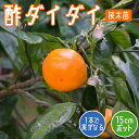 みかん 苗木 酢ダイダイ 15cmポット スダイダイ 接木 苗 自家結実性 柑橘 果樹 園芸 家庭菜園 香酸柑橘 酢橙 だいだい ダイダイ ポン酢 初心者向け 送料無料