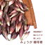 みょうが 国産 種球根 180g ミョウガ 茗荷 種株 家庭菜園 プランター栽培 ヘルシー 698円