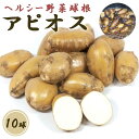 アピオス 10球 種芋 種球根 家庭菜園 ほど芋 アメリカほど芋 山菜 野菜 花の大和