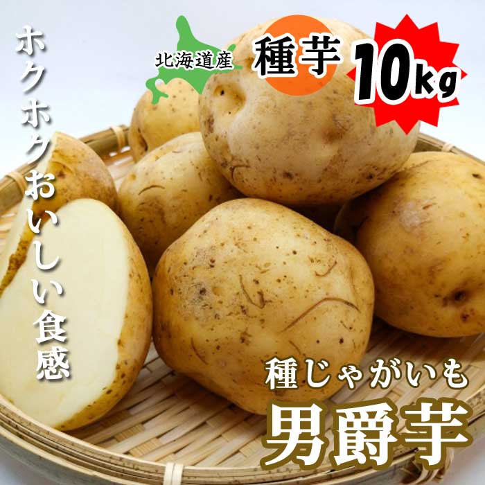 種 じゃがいも 男爵芋 ダンシャクイモ 10kg 北海道産 芋サイズ：S～2L 種 ジャガイモ 馬鈴薯 種芋 家庭菜園 春植え