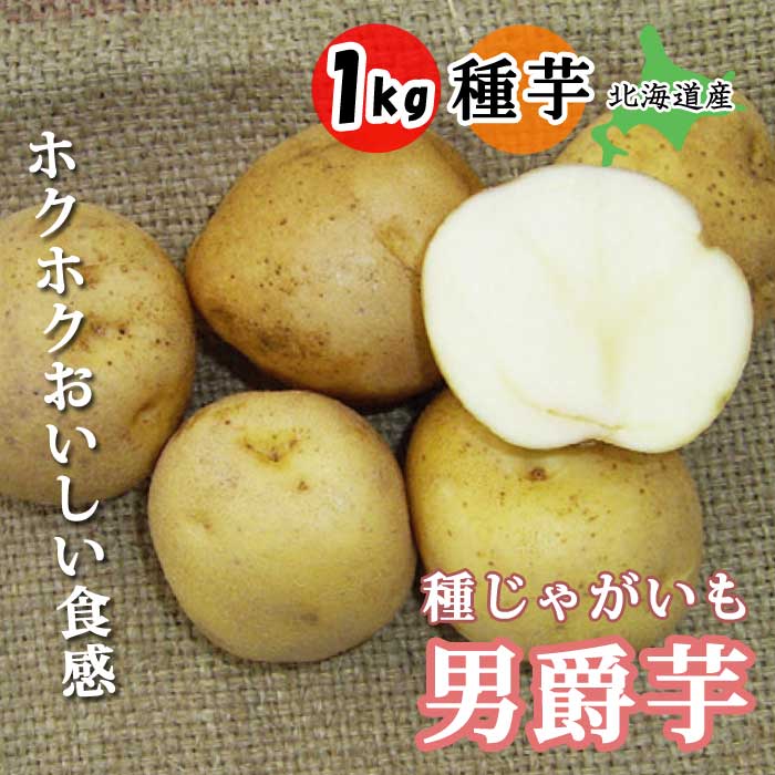 種 じゃがいも 男爵芋 ダンシャクイモ 1kg 北海道産 芋サイズ：S～2L 種 ジャガイモ 馬鈴薯 種芋 家庭菜園 春植え