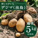 種 じゃがいも デジマ 種芋 約5kg ※大小ミックス※ 秋植え ジャガイモ 種芋 栽培 でじま 出島 馬鈴薯 秋じゃが 家庭菜園 花の大和
