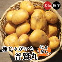 【予約・早割】 種 じゃがいも 普賢丸 ふげんまる 500g※種イモのサイズ:S~3L※ 秋植え ジャガ 栽培 馬鈴薯 種芋 家庭菜園 花の大和 【8月中旬より順次発送】