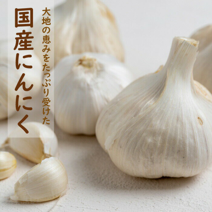 【 種 球根 にんにく 国産 約500g 】 サイズ無選別 Sサイズ～Lサイズ及びカケ片含む ニンニク スタミナ 野菜 栽培