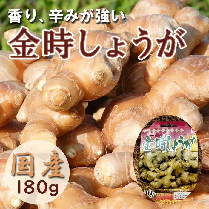 球根 国産 種ショウガ （種 生姜）しょうが 金時しょうが 約180g 香り 辛み の強い生姜
