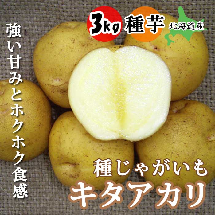 種 じゃがいも キタアカリ 3kg 北海道産 芋サイズ：S～2L 種 ジャガイモ 馬鈴薯 種芋 家庭菜園 春植え