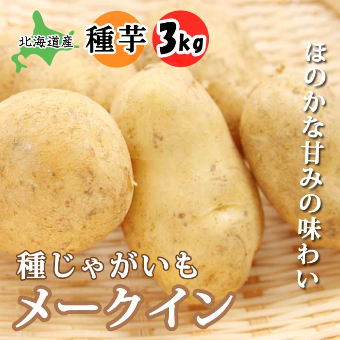 種 じゃがいも メークイン 3kg 北海道産 芋サイズ：S〜2L 種 ジャガイモ 馬鈴薯 種芋 家庭菜園 春植え 春じゃが 花の大和のサムネイル