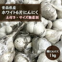 【予約・早割】【 土付き 種 球根 にんにく 青森 福地 ホワイト6片 約1kg 】土と根付き サイズ無選別 S~Lサイズ及びカケ片含む【8月中旬より順次発送】