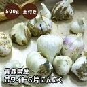 【予約・早割】【 土付き 種 球根 にんにく 青森 福地 ホワイト6片 約500g 】青森県産 ニンニク スタミナ 野菜 料理 栽培 園芸【8月中旬より順次発送】
