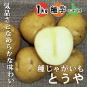 種 じゃがいも とうや 1kg 北海道産 芋サイズ：S～2L 種 ジャガイモ 馬鈴薯 種芋 家庭菜園 プランター栽培 春植え