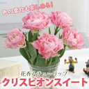 【予約・早割】 チューリップ 球根 クリスピオンスイート 3球 花香るチューリップ 芳香性 秋植え 花の大和 【10月上中旬より順次発送】