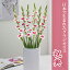 グラジオラス 球根 春植え 【日本で生まれたグラジオラス】 祝典 10球 gladiolus 花の大和 898円