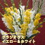 グラジオラス 球根 春植え 【デュオグラジオラス】 イエロー & ホワイト 8球(2種各4球) 花の大和 898円