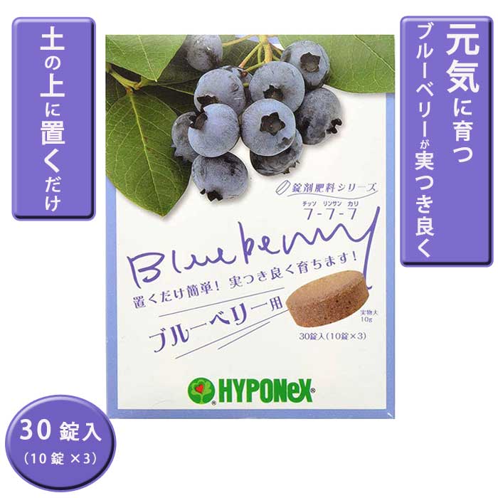 |p nC|lbNX ܔ엿V[Y u[x[p 30(10~3) ȒP  yɒu blueberry