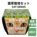 猫草 栽培セット お手軽 簡単 栽培 猫が好き 育てやすい ネコ ねこ neko 観葉植物 cat grass 燕麦 種子 農薬不使用 花の大和