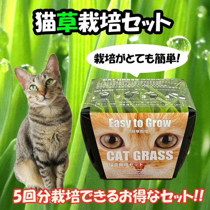 猫草 栽培セット お手軽 簡単 栽培 猫が好き 育てやすい ネコ ねこ neko 観葉植物 cat grass 農薬不使用 花の大和