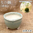 ミニ鉢 ( 苔用 ) 小サイズ 陶器鉢 苔鉢 手作り コケ 鉢 盆栽 苔玉 雑貨 園芸