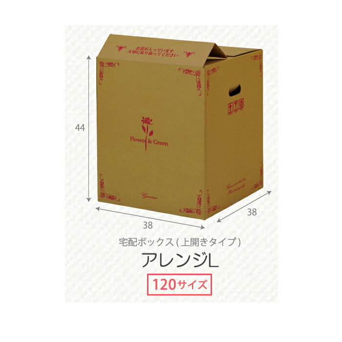 箱 10枚入 組立HEIKOシモジマフリーボックスF-71 ギフトボックス ラッピング箱 収納 梱包資材 段ボール小型 ダンボール フリマ ハンドメイド