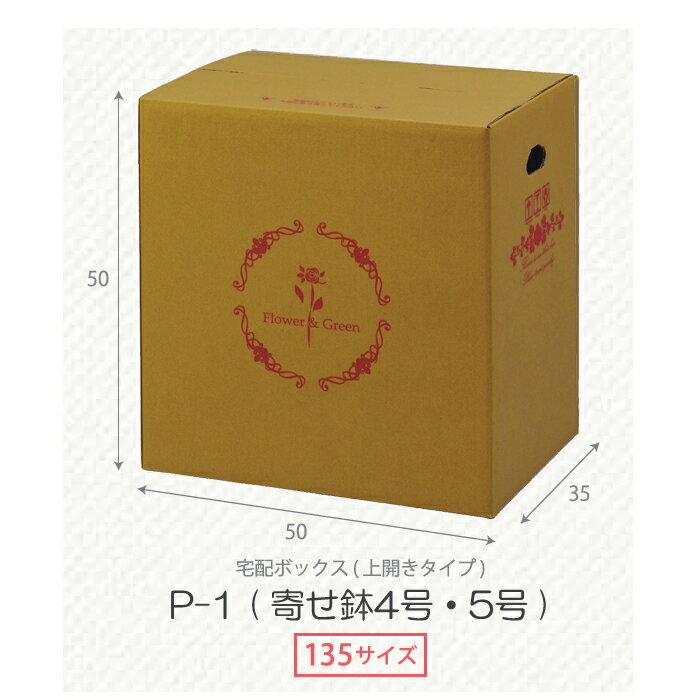 花資材【個人宛不可 屋号必須】【宅配BOX P-1 寄せ鉢4〜5号 25枚セット】135サイズ 段ボール箱 宅配ボックス 上開き 寄せ鉢用 花束用 鉢物用 ダンボール 配送ボックス 1