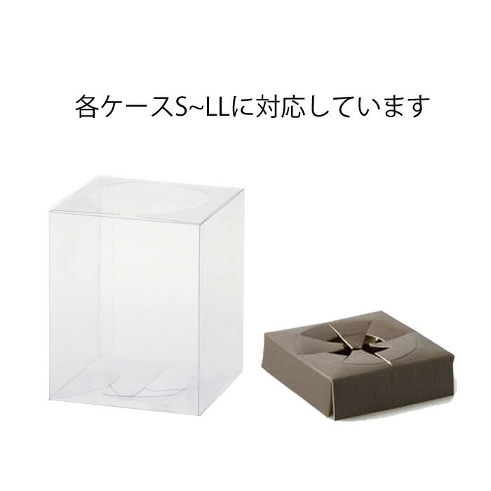 �ֻ�� ������ 10�祻�å� �ڥ��ꥢ�������ѥȥ쥤L�� �ڡ��ѡ��ȥ쥤 18cm���ѡ�17.8cm�� �ץꥶ���֥ɥե� ������Ѥʤɤ� MB-0016