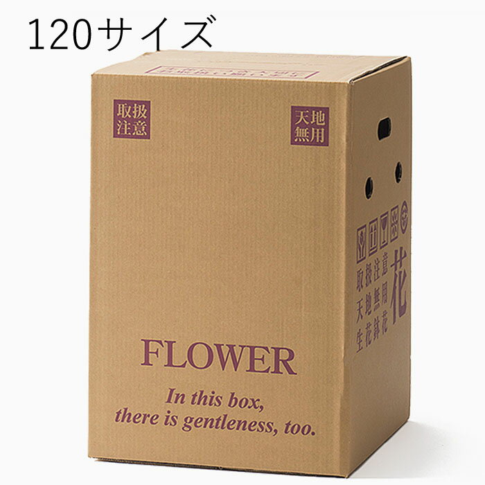 花資材【個人宛不可・屋号必須】【宅配BOX 120サイズ 30枚セット】PS104-120 段ボール箱 宅配ボックス 上開き アレンジ用 花束用 鉢物用6〜7号...