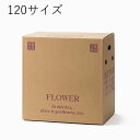花資材【個人宛不可・屋号必須】【宅配BOX 120サイズ 30枚セット】PS106-120 段ボール箱 宅配ボックス 上開き 大型アレンジ用 鉢物用4〜5号 ダ...