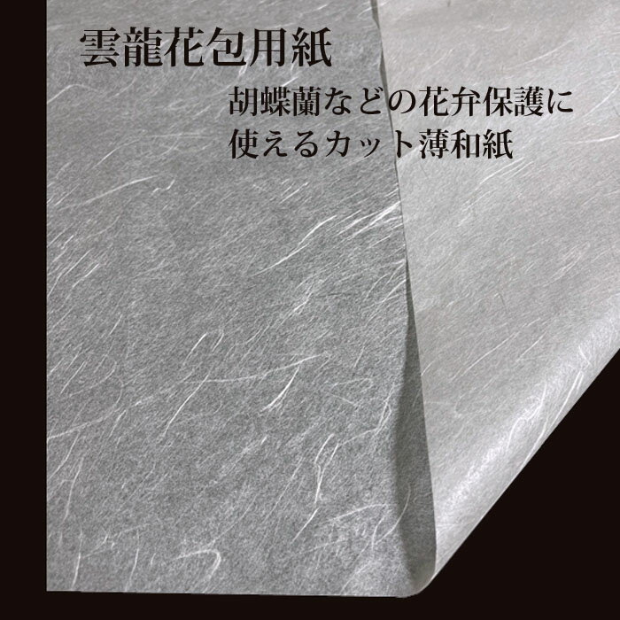 花資材 卸価格【カット和紙100枚】雲龍花包用紙 56cm 82cm ラッピング資材 生花 胡蝶蘭 保護 洋蘭和紙