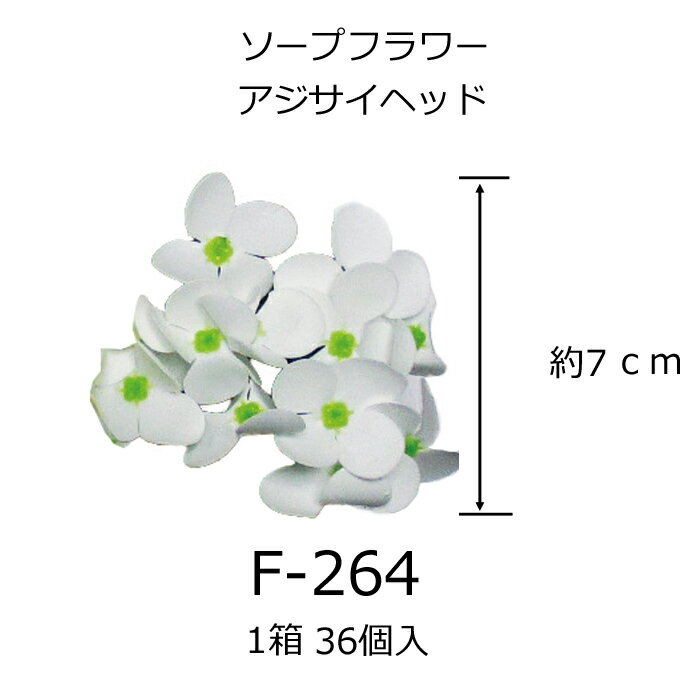 �ڻ��ۥ����ץե����إåɥ���������36�ĥ��å�