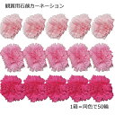 【資材】ソープフラワー ヘッドカーネーション 50輪セット
