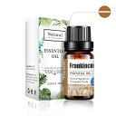 フランキンセンス frankincense 精油10ml×1　アロマオイル　当店ネブライザーに替えアロマとして使えます　フランキンセンスの香り　日本では「乳香」とよばれ、古くから、におい袋にしのばせたり、お香などにも使われたりしています。