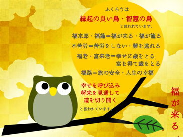 開運風水 玄関マット かわいい ふくろう玄関マット 幸運を呼ぶとされるフクロウが玄関マットに 黄色 風水色 イエロー 開運祈願 炭パック Ab銀イオン消臭スプレー 布用洗剤のセット 45×75cm
