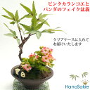 ピンク色 カランコエ と パンダ の ミニ フェイク 盆栽 / 造花 和 日本 和室インテリア アレンジ ギフト 枯れない花 CT触媒 かわいい ミニチュア イ...