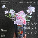 桜 造花 置物 軽量 和柄 アレンジメント 和風 お花見 送料無料 さくら アレンジ 春インテリア コンパクト 春 インテリア 飾り ナチュラル ピンク 黒 ギフト プレゼント 枯れない花 CT触媒 お見舞い 誕生日 受付 雑貨 かわいい おしゃれ 贈り物 畳縁