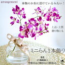 アレンジメント ラン 高級感 1輪挿し アレンジ 造花 投げ入れ 華やか クリア マジカルウォーター ピンク インテリア 置物 飾り 送料無料 ギフト プレゼント 枯れない花 CT触媒 誕生日 雑貨 リアル コンパクト 和風アレンジ 造花アレンジ 蘭