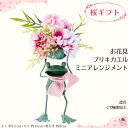 【 春インテリア 】桜 カエル アレンジメント 送料無料 ミニサイズ サクラ さくら お花見 ブリキ 花見 造花 ミニチュア カエルアレンジ カーキ ピンク 造花 明るい かわいい ユニーク インテリア アレンジメント ギフト プレゼント 枯れない花 CT触媒 お見舞い 誕生日 春