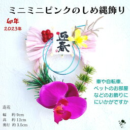 ミニミニサイズのお正月飾り ピンク 胡蝶蘭 かざり 小さい ミニサイズ ミニチュア 壁掛け 正月飾り 造花 ドア飾り お正月 正月 新年飾り ペット 自転車 自動車 飾り お飾り ギフト プレゼント 可愛い かわいい さりげない 飾りやすい 軽い 蘭 コチョウラン ミニ 送料無料