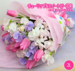 チューリップ 花束 スイートピー 2Lサイズ 花 フラワー ギフト 誕生日 プレゼント バレンタイン ありがとう 入学式 入園式 退職祝い 春の花 ホワイトデー