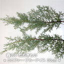 森のいただきもの コニファー・ブルーアイス 30cm 枝物 生花 季節の枝物 リース 素材 スワッグ クリスマス 手作り ハンドメイド