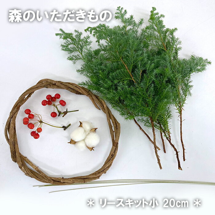 森のいただきもの リースキット小20cm ヒムロ杉 つるリース サンキライ コットン 枝物 生花 季節の枝物 リース 素材 クリスマス 手作り ハンドメイド