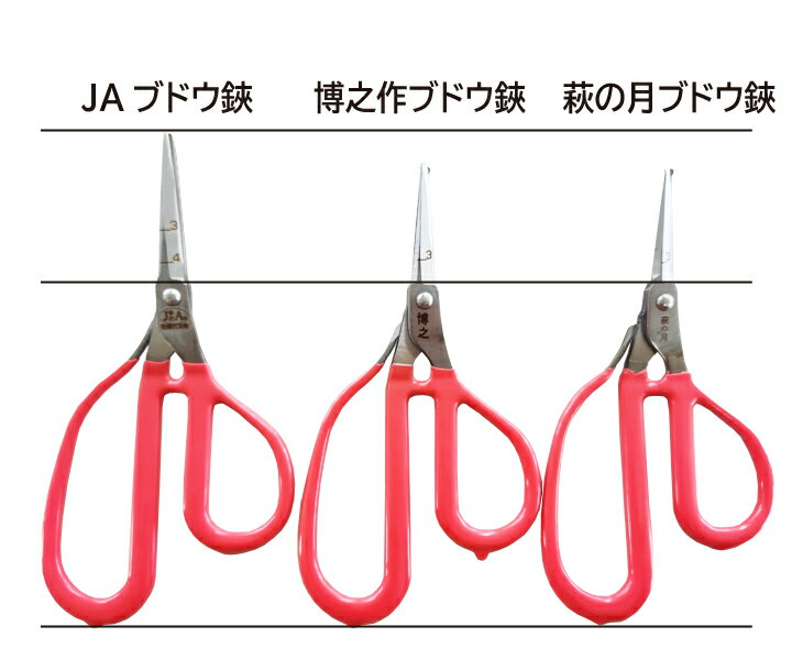 JAバネ兼用ぶどう鋏　曲　長刃 チタンコート付き