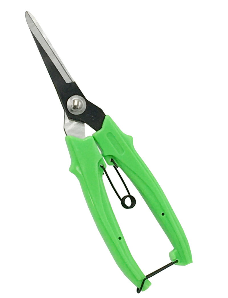 丸梅　芽切鋏190mm　2丁セット