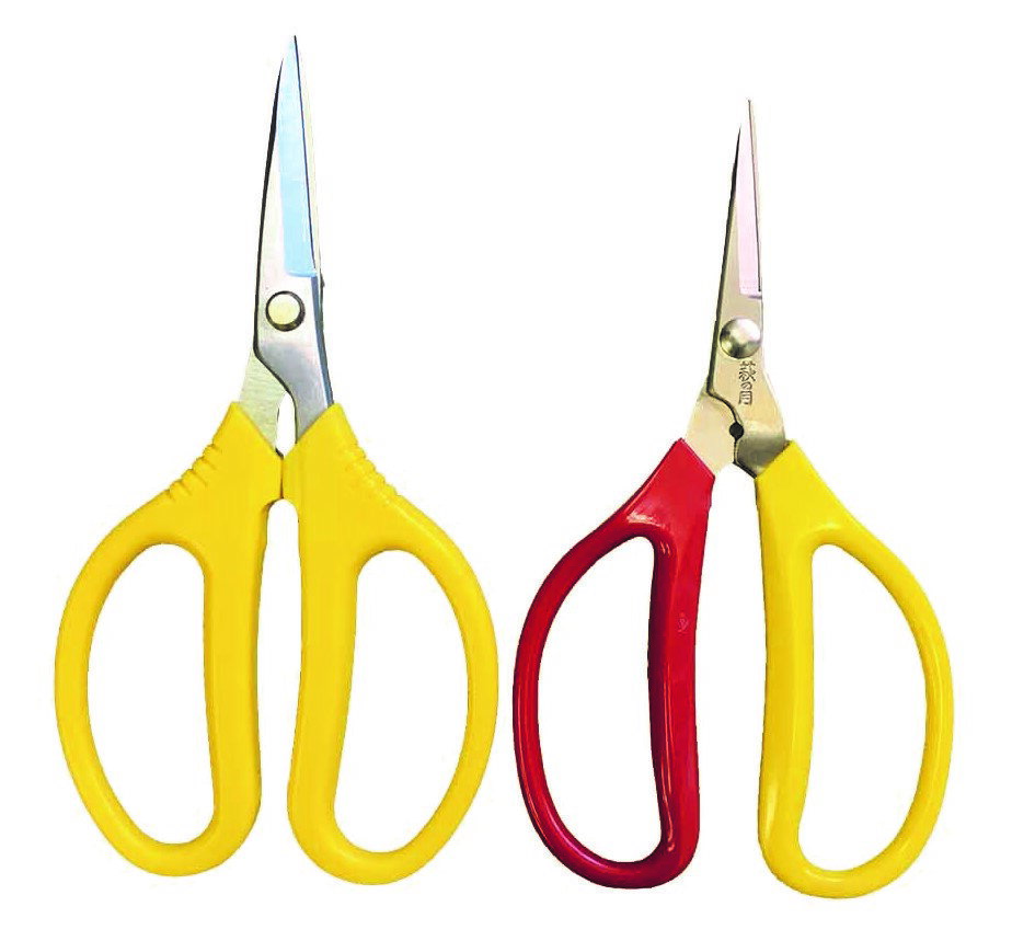 ステンレス万能鋏 大中2丁セット