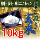 【28年度】はえぬき　玄米【10kg】