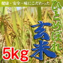 【28年度】ひとめぼれ　玄米【5kg】