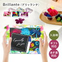 【あす楽】【Brillante（ブリッランテ