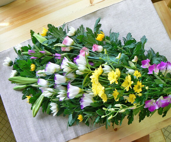 ��������«���²�B����ʼ��ݾڡ��֡ۡڤ��� �֡ۡڤ��� �������ۡڲ� �������ۡں�ûȯ����