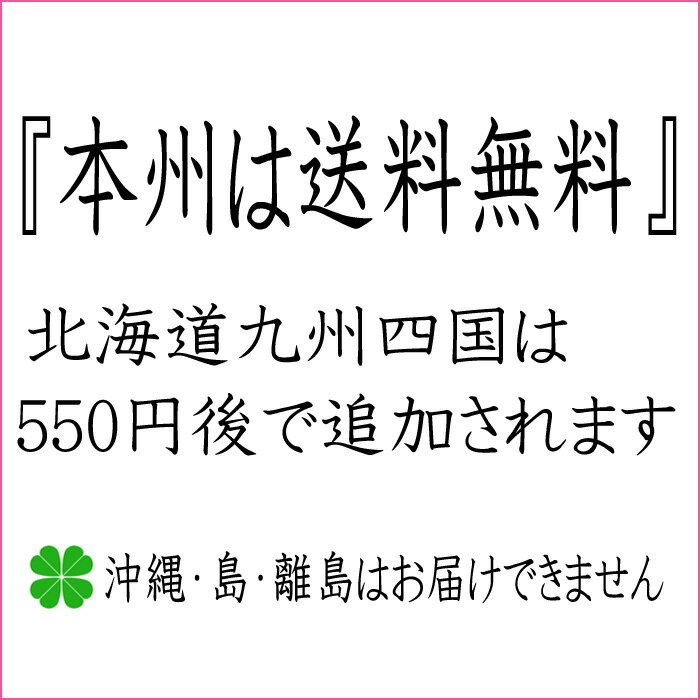 あす楽14時まで 母の日 ギフト プリザーブドフラワー 花 ギフト 誕生日 プレゼント フラワーアレンジメント 犬 アレンジメント