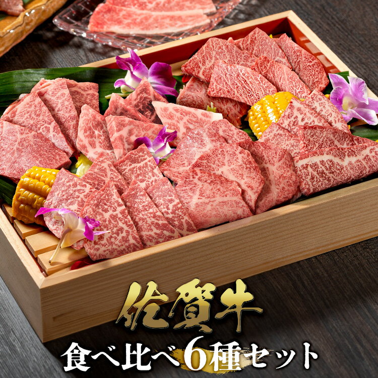 佐賀牛 焼肉 希少部位6種食べ比べセット 480g | 80g×6種 A4 A5 送料無料 ※冷凍発送 焼肉 熟成 黒毛和牛 和牛 国産 国産牛 ギフト 敬老 敬老の日 御祝 お祝い 内祝 お返し 御礼 プレゼント 贈答用 のし対応 高級 霜降り 牛肉 お肉 肉 焼肉 送料無料